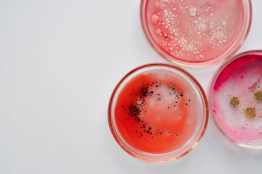 氣相質(zhì)譜(GC-MS)五大檢測(cè)分析優(yōu)勢(shì)圖3 氣相質(zhì)譜(GC-MS)五大檢測(cè)分析優(yōu)勢(shì)圖3